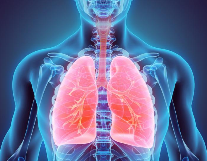 diagram-of-lungs